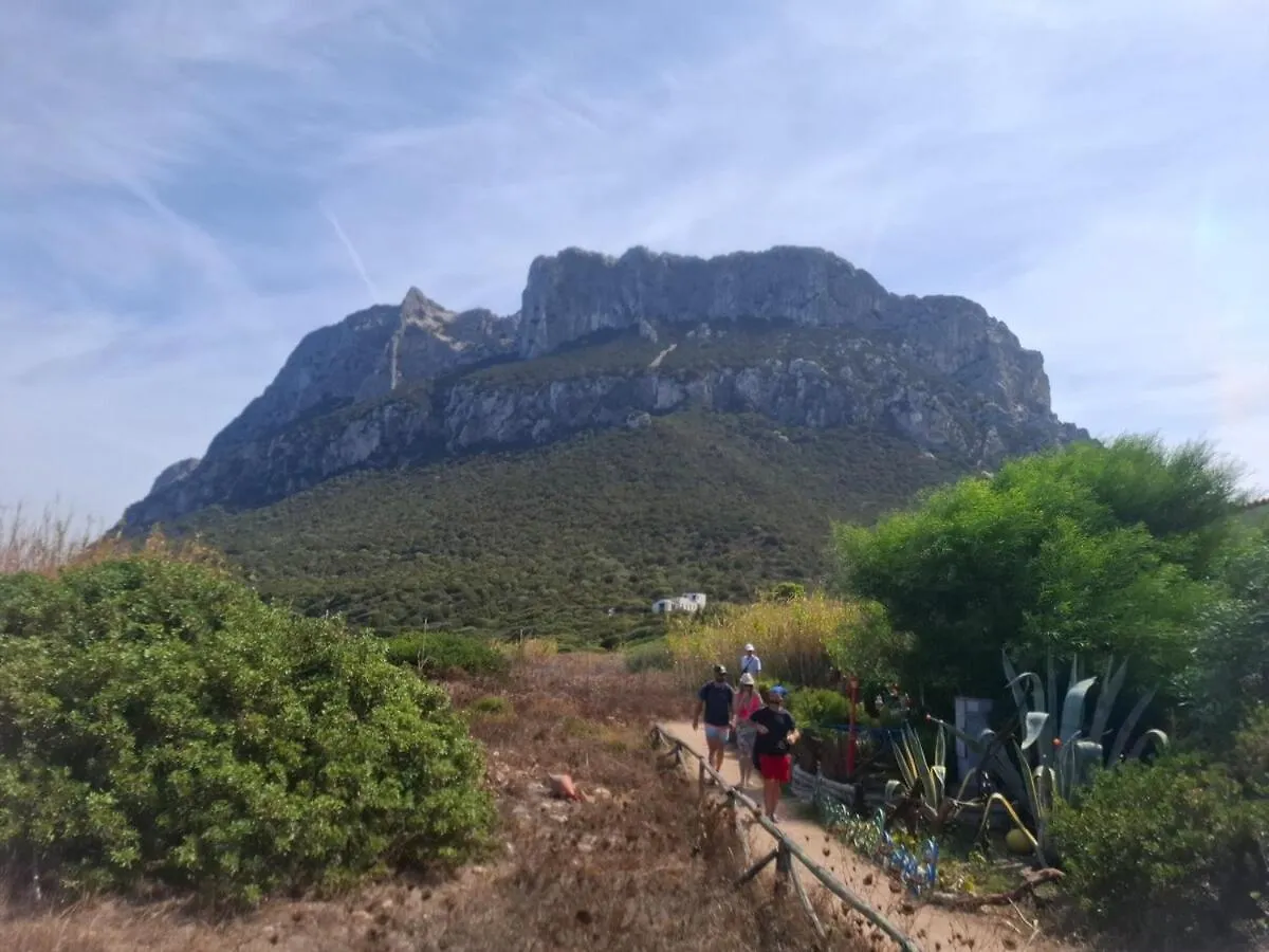 Villa Gemma 1 Olbia